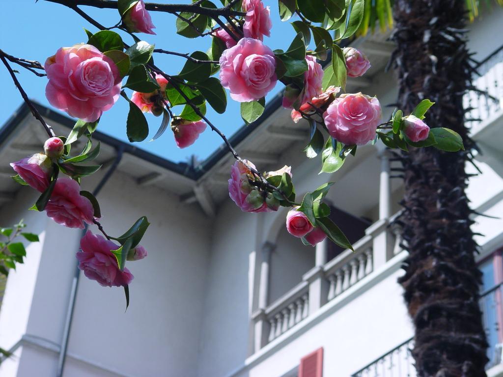 Albergo Camelia Locarno Esterno foto